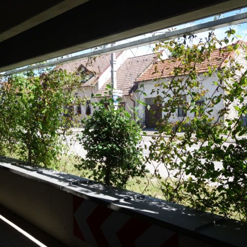 Lankové siete pre zelené fasády - Parkovací dom Eger Maďarsko